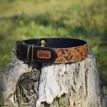 Collar básico sin acolchado Snake Naranjo