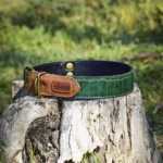 Collar básico sin acolchado Verde