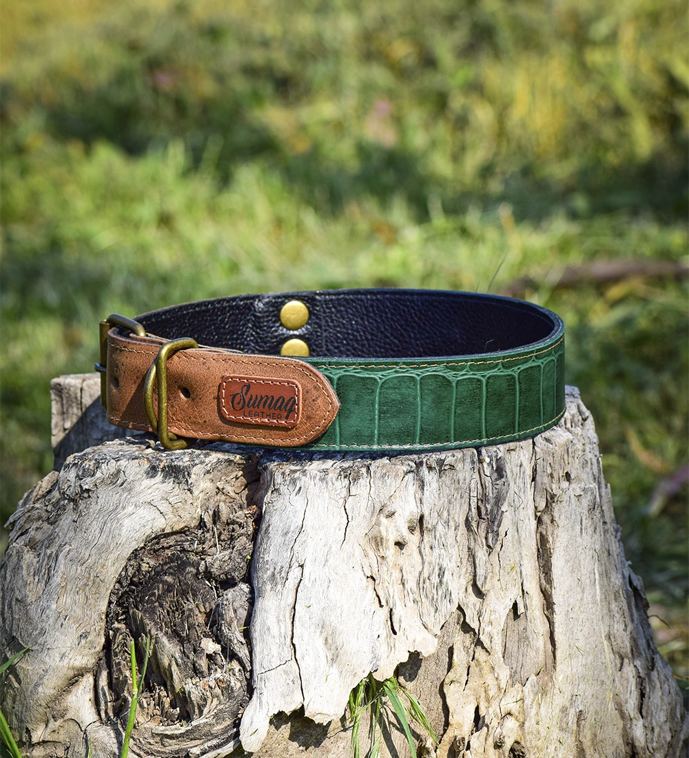 Collar basico sin acolchado verde Collar básico sin acolchado Verde - Imagen 1