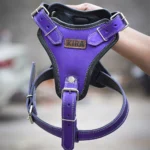 Arnés simple Morado