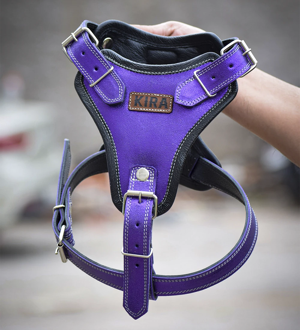 arnes morado Arnés simple Morado - Imagen 1