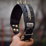 Collar exclusivo King plata